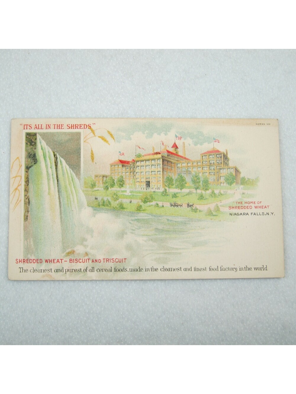 Antique 1910s Postcard Shredded Wheat Niagara Falls NY Food Factory Advertising